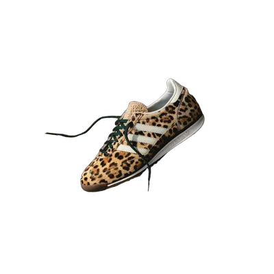 Shoe with background removed